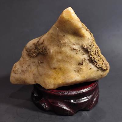 古生物化石/奇石/玉石原石【化石放漏】专场！陆小鱼的钱币仓，限时拍卖第002场 - 造型不错的 黄料蜂巢珊瑚化石 生物纹路清晰 品相一流 玉化不错 4.5亿年前奥陶纪时期海洋古生物化石标本 431g
