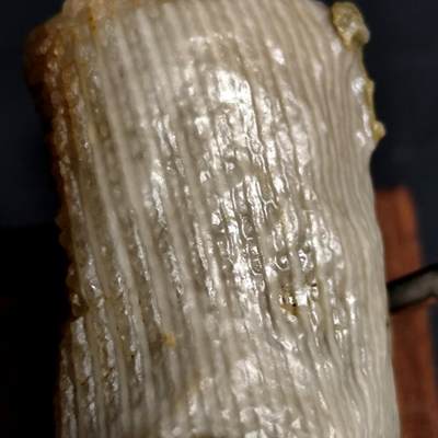 古生物化石/奇石/玉石原石【化石放漏】专场！陆小鱼的钱币仓，限时拍卖第002场 - 粗纹羊角单体珊瑚化石 玉化程度非常好 冰糖料 4.5亿年前奥陶纪时期海洋古生物化石标本 38g