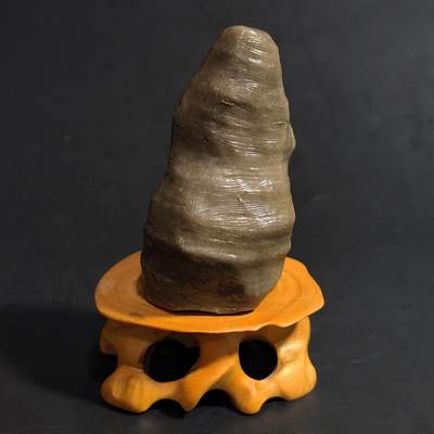 古生物化石/奇石/玉石原石【化石放漏】专场！陆小鱼的钱币仓，限时拍卖第002场 - 灰色链条状细纹单体珊瑚化石 干净漂亮 玉化程度非常好 4.5亿年前奥陶纪时期海洋古生物化石标本 98g