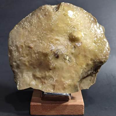 古生物化石/奇石/玉石原石【化石放漏】专场！陆小鱼的钱币仓，限时拍卖第002场 - 精品极少见 手指纹灵芝状珊瑚化石 非常完整 玉化程度非常好 造型独特4.5亿年前奥陶纪时期海洋古生物化石标本 581g