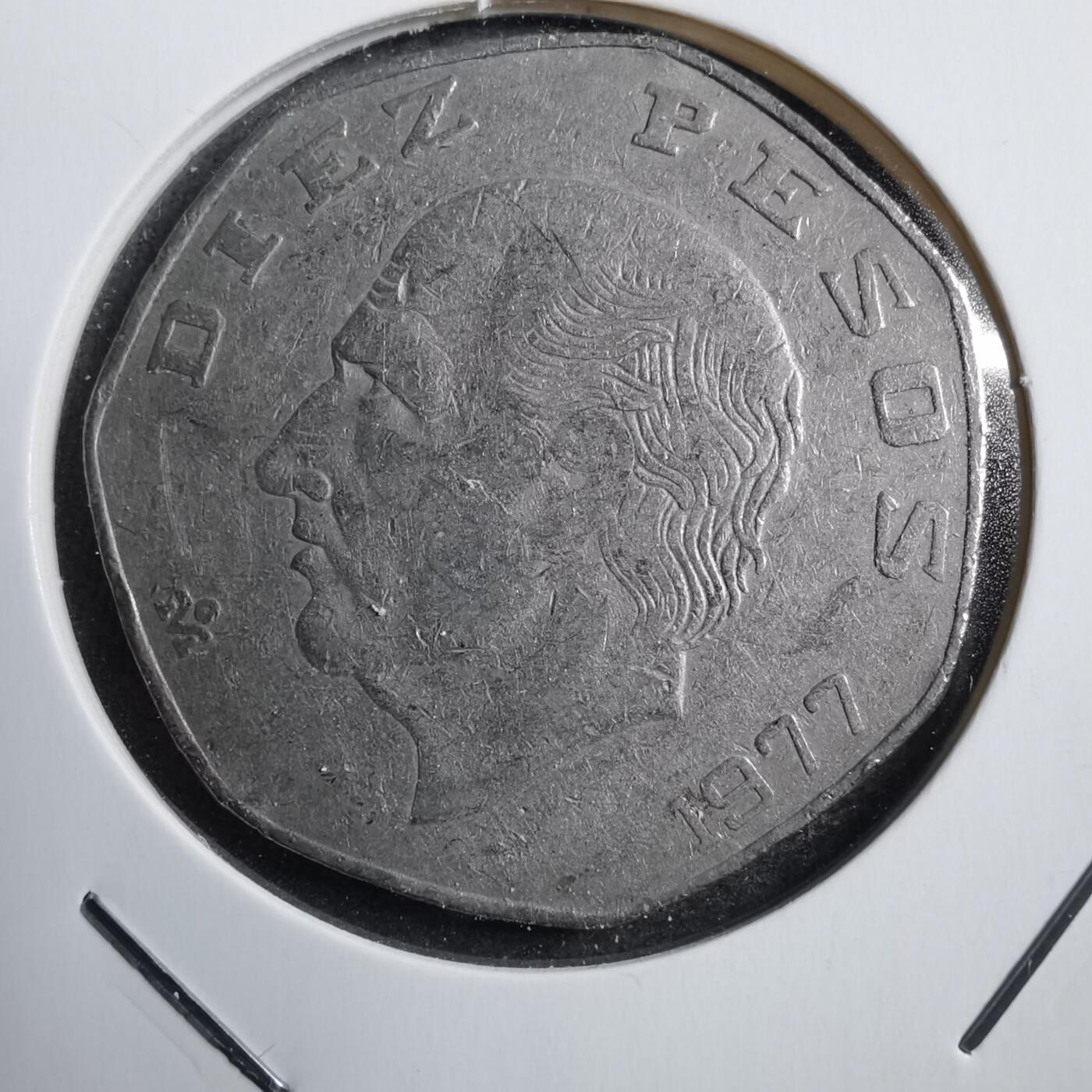 沼泽如烟--第750场