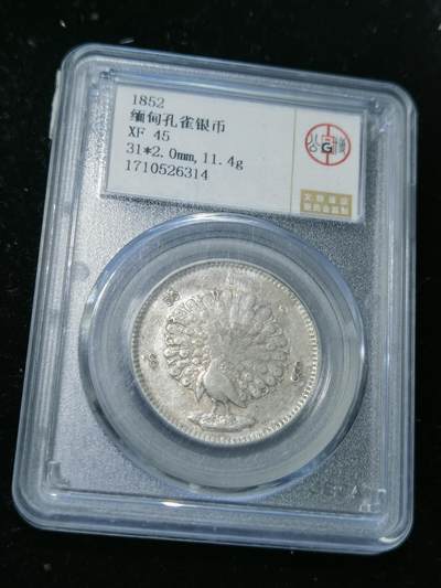 天下钱庄专场欢迎参拍 - 缅甸孔雀银币