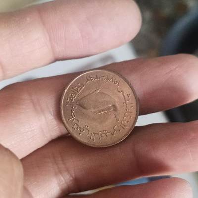 泡泡币外币第五十二场可代拍15038385335微信 - 阿联酋鱼