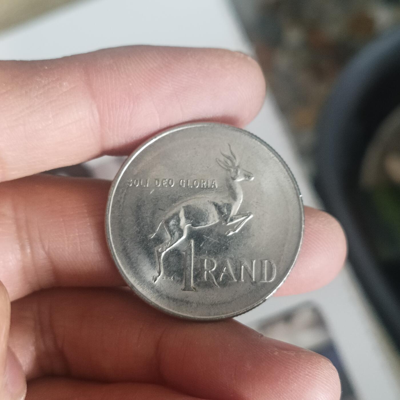 泡泡币外币第五十二场可代拍15038385335微信 南非一兰特