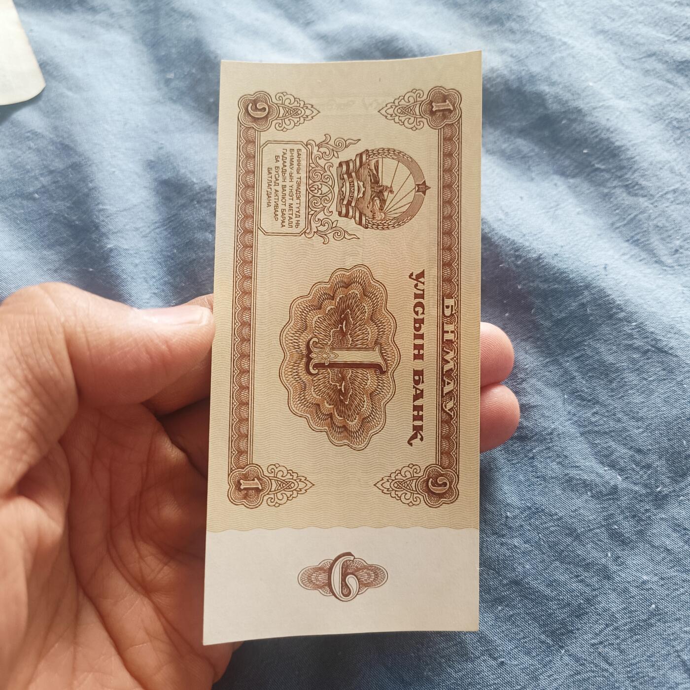 泡泡币外币第五十一场可代拍15038385335微信 全新蒙古