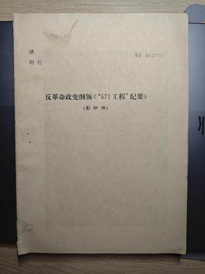 【20250627】三联收藏群友送拍专场——精品收藏全场0起 - 571附件一，梦的开始，许多材料都是从这图里面的原件整理出来的，全是林集团亲笔和信函，图非常非常多，展示的仅一小部分，附件一非常少见