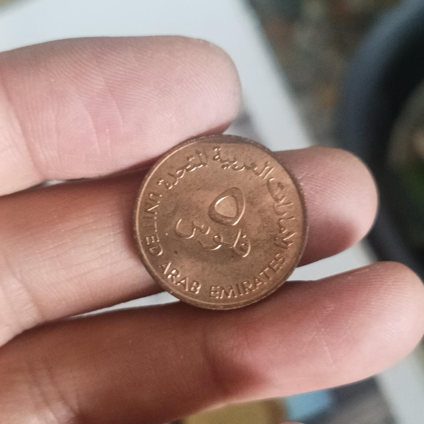 泡泡币外币第五十二场可代拍15038385335微信 阿联酋鱼