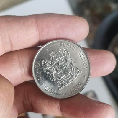 泡泡币外币第五十二场可代拍15038385335微信 - 南非一兰特