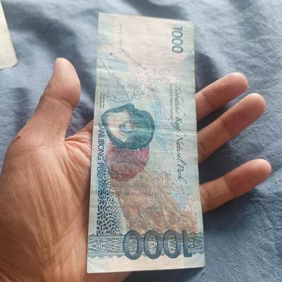 泡泡币外币第五十一场可代拍15038385335微信 - 菲律宾千元