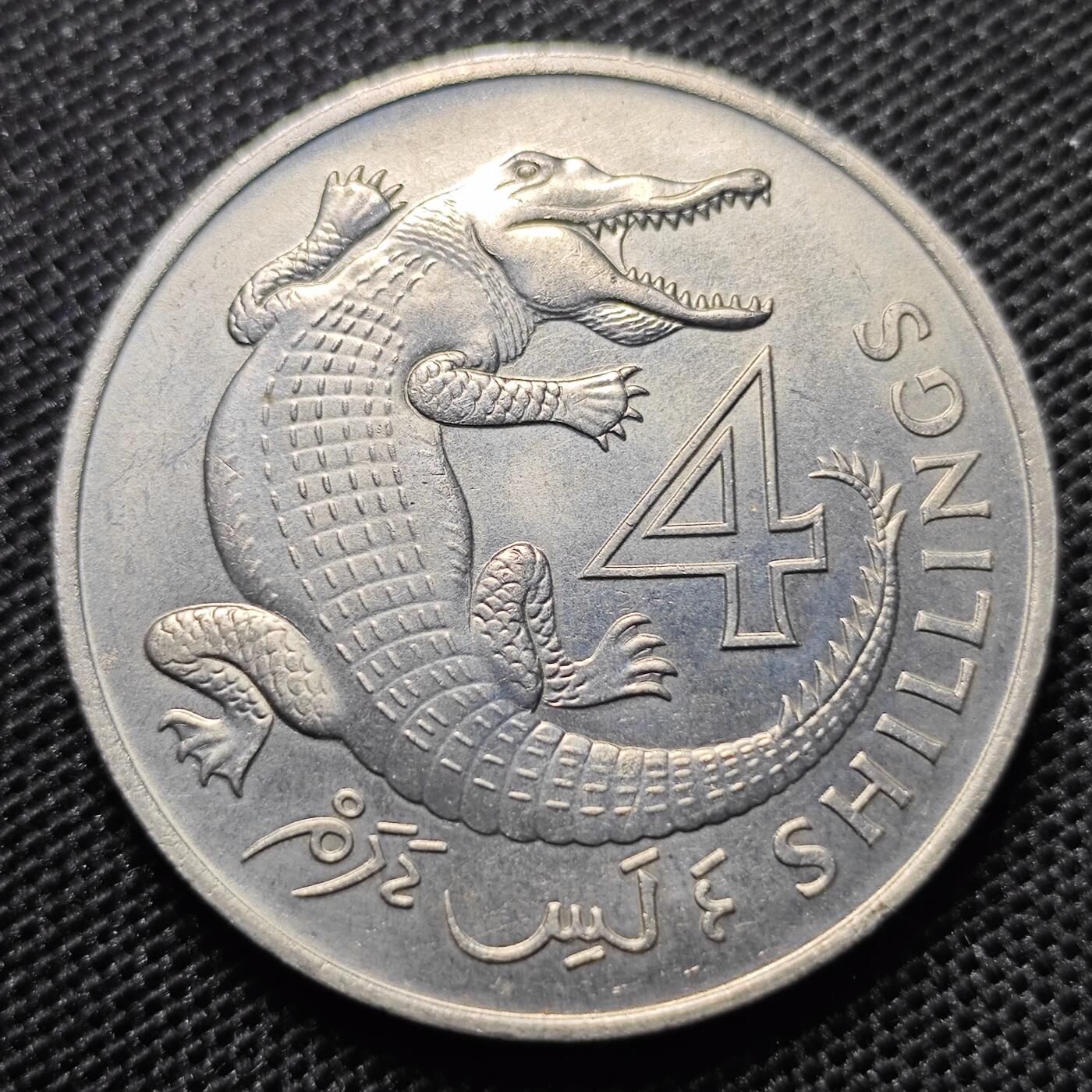 KK钱币收藏小铺 第300期 百期特拍3连拍第2场  周末发货  1966英属冈比亚4先令 鳄鱼