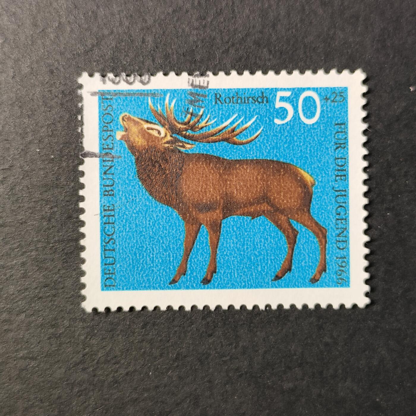 嘉禾收藏    【第227期】            无佣金、可寄存、满30元包邮