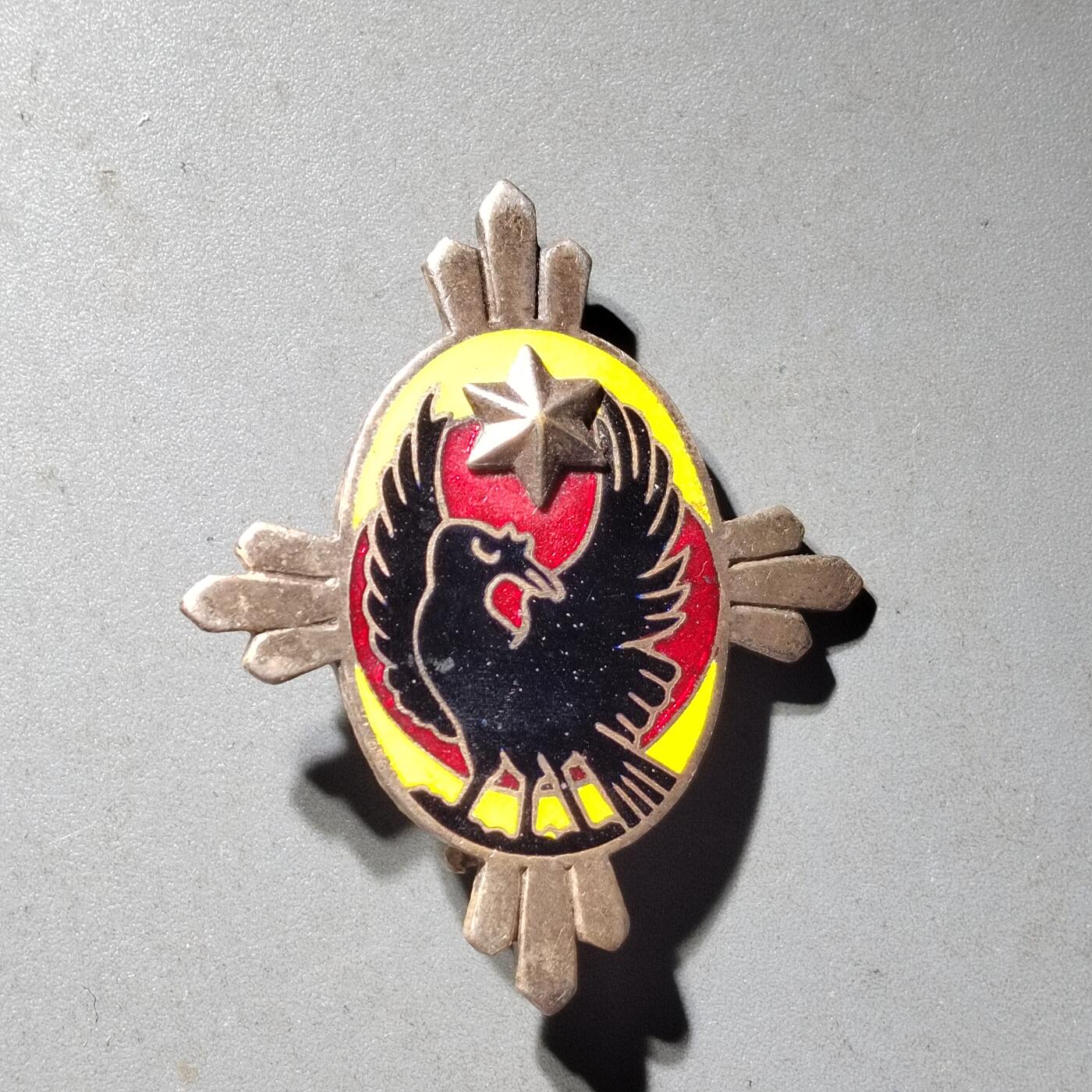 PCAI钱币  19-432  证章纪念章小专场 帝国军人会