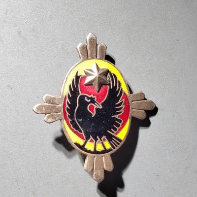 PCAI钱币  19-432  证章纪念章小专场 - 帝国军人会