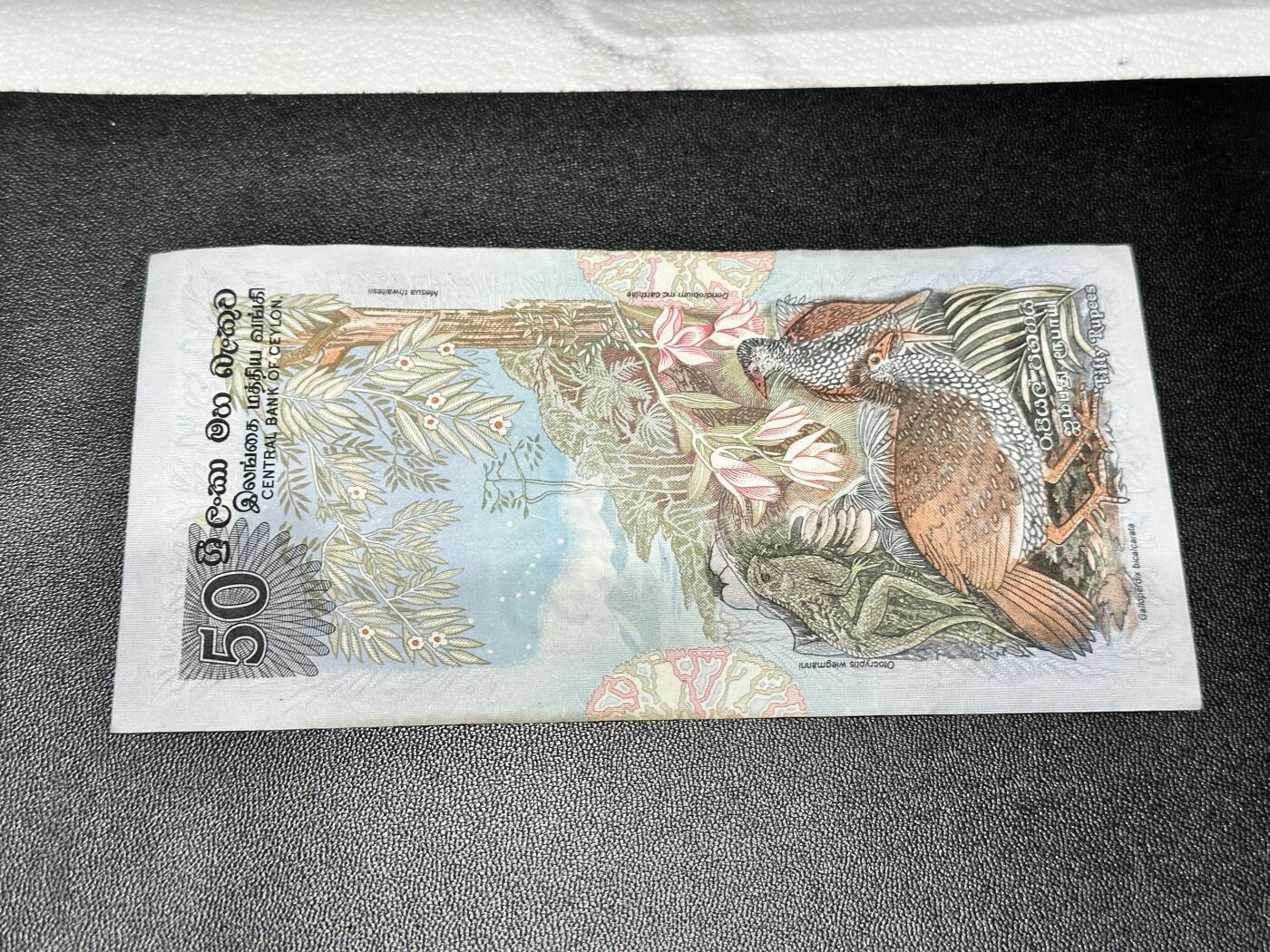 《外钞收藏家》第五百三十八期（本期有精美裸币、稀少美元、精美法属）（本平台长期征集拍品、欢迎藏友们联系合作） 斯里兰卡50卢比 非全新 品相如图