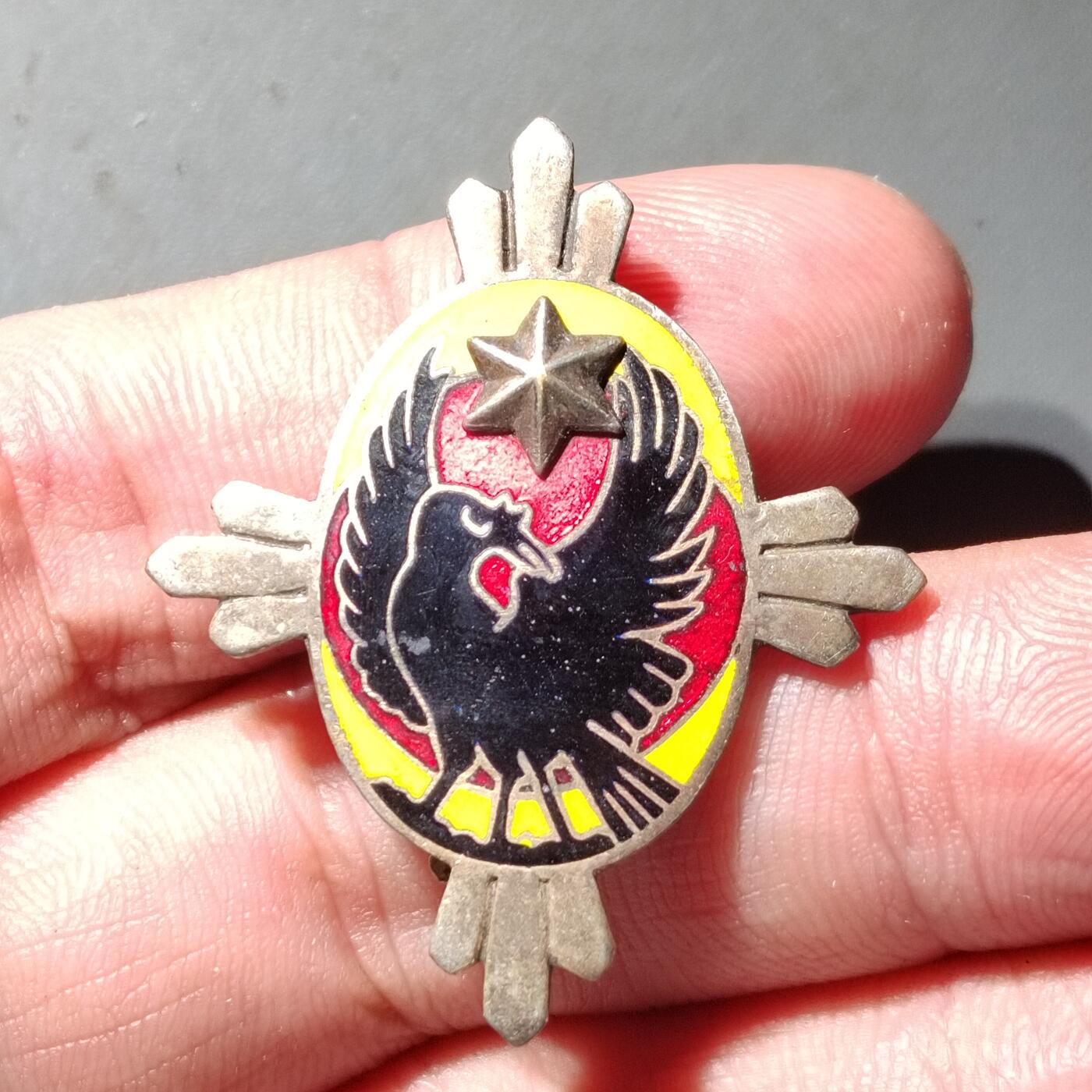 PCAI钱币  19-432  证章纪念章小专场 帝国军人会