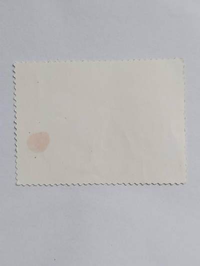 邮票专场 毛主席万岁。