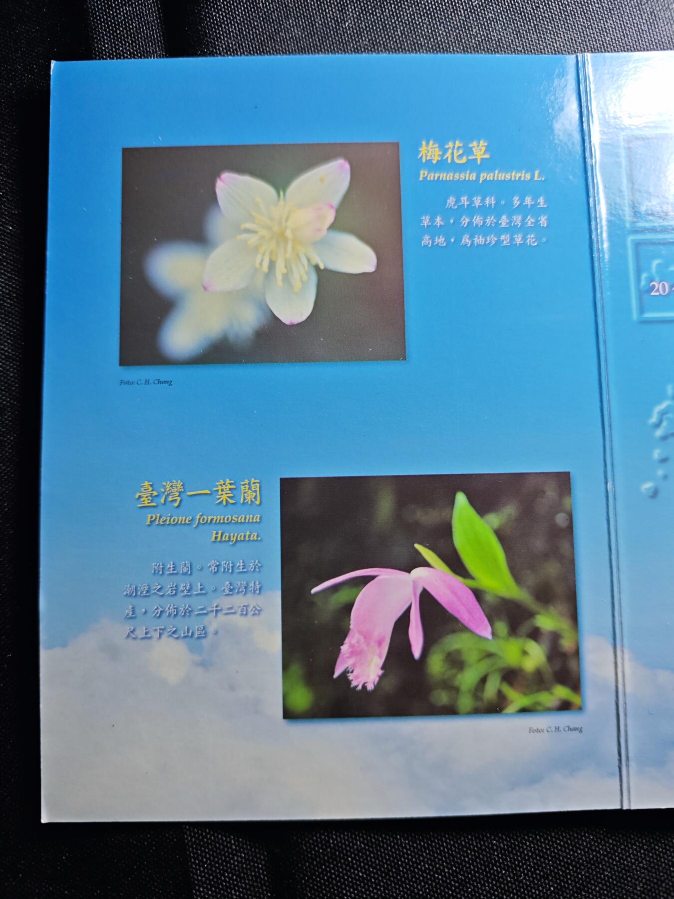 KK钱币收藏小铺 第301期 百期特拍3连拍第3场  周末发货