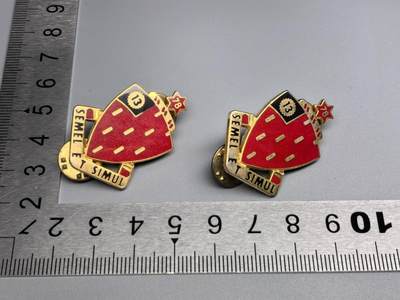 【麦稀奇收藏嘉年华】小驴勋章奖章收藏6月21日周六晚18点拍卖（有偿代拍送拍规则在简介最后，参拍须阅读规则后再参拍，关系到运费包装发货时效、真假辨别等关键信息，个人微信码在最后一个拍品） - 部队番号铜徽章一对