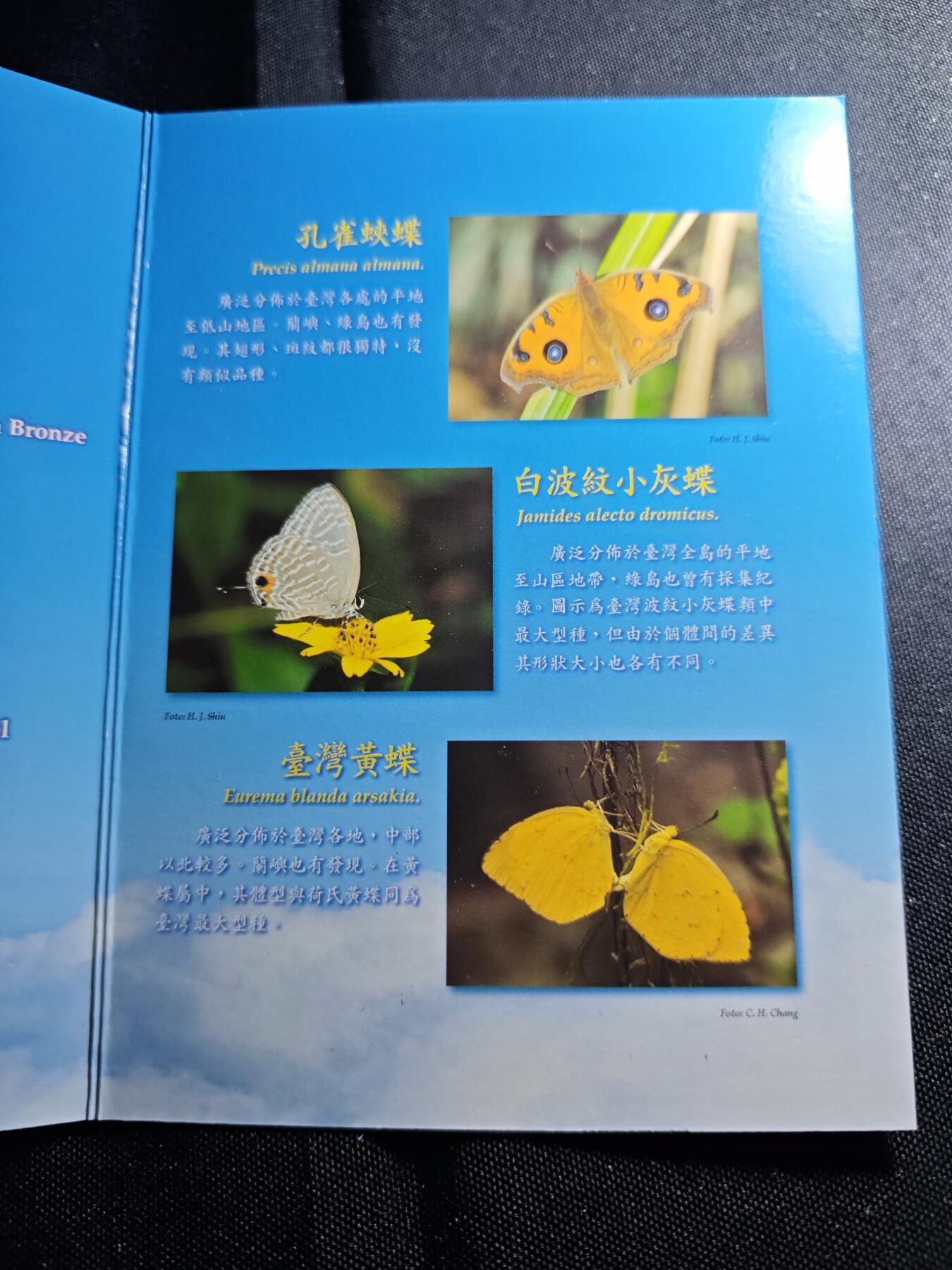 KK钱币收藏小铺 第301期 百期特拍3连拍第3场  周末发货