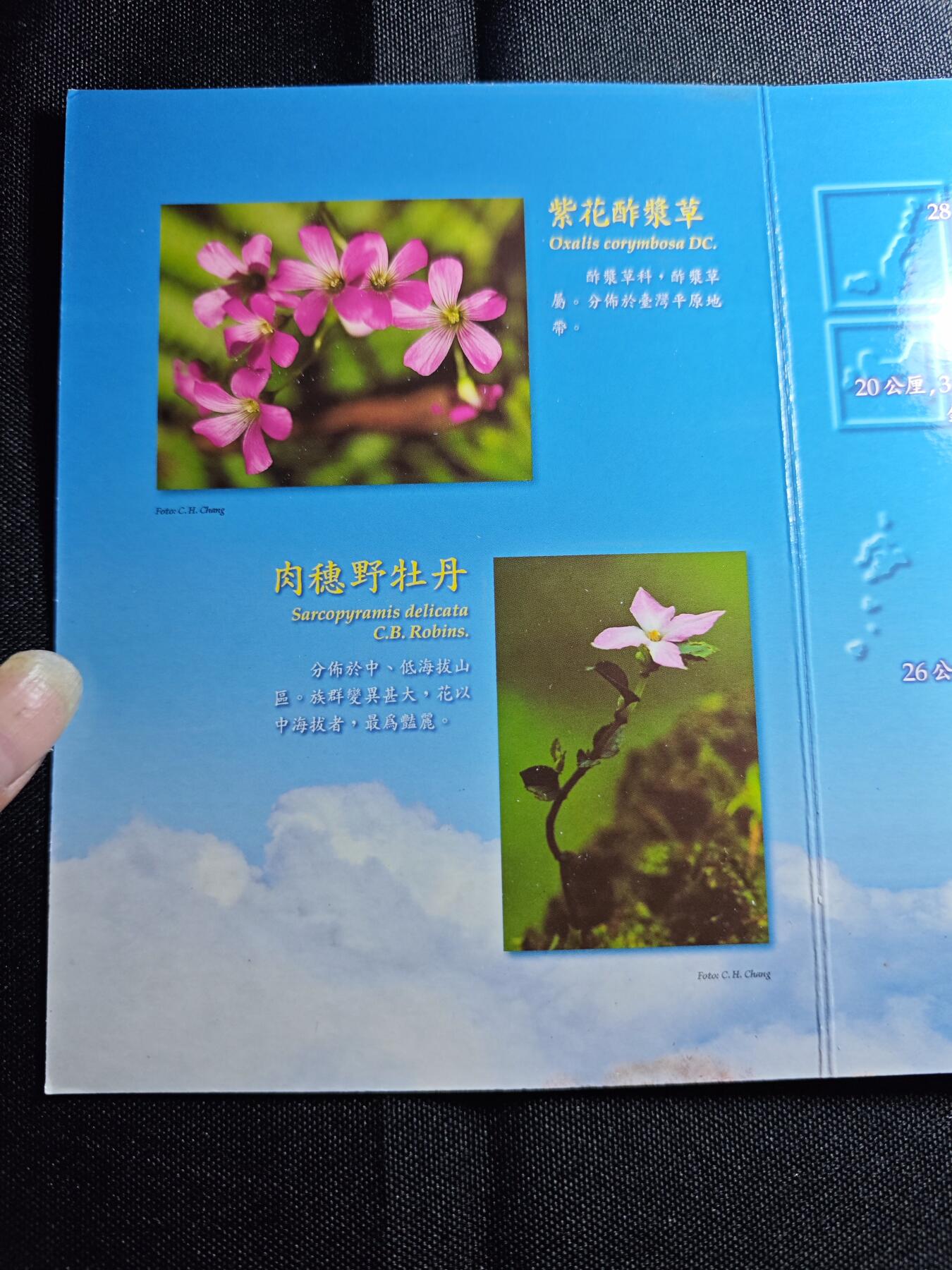 KK钱币收藏小铺 第301期 百期特拍3连拍第3场  周末发货