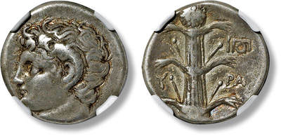上海匡时2025年春季拍卖会 古希腊 昔兰尼二德拉克马银币一枚，正面为带羊角的阿波罗 / 阿蒙侧像，背面为松香草植株全貌，阿蒙为埃及 - 昔兰尼沙漠中锡瓦阿蒙神庙主神，其神谕可与古希腊德尔斐神庙相当。象征物为公羊角，NGC 评级，评级编号：6830330-029