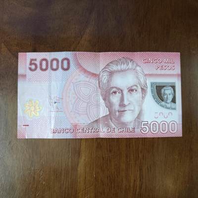 美洲-智利塑料钞2013年5000比索P-163外国钱币纸币流通品品如图 - 美洲-智利塑料钞2013年5000比索P-163外国钱币纸币流通品品如图