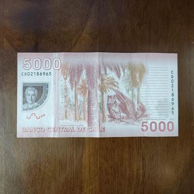 美洲-智利塑料钞2013年5000比索P-163外国钱币纸币流通品品如图 - 美洲-智利塑料钞2013年5000比索P-163外国钱币纸币流通品品如图