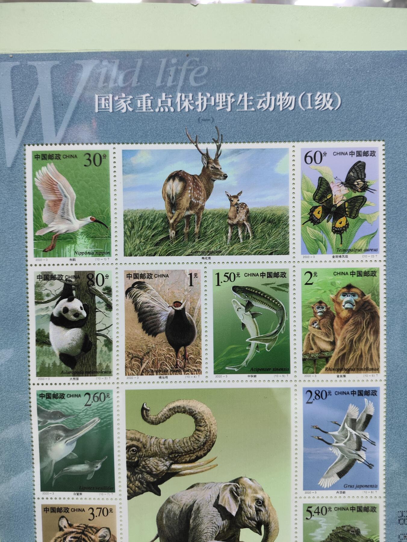  纪念邮册 《国家重点保护野生动物(I）级(一)》版张册