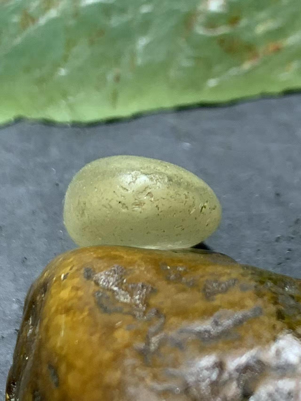 精美天然地表宝石光金丝玉原石一块，