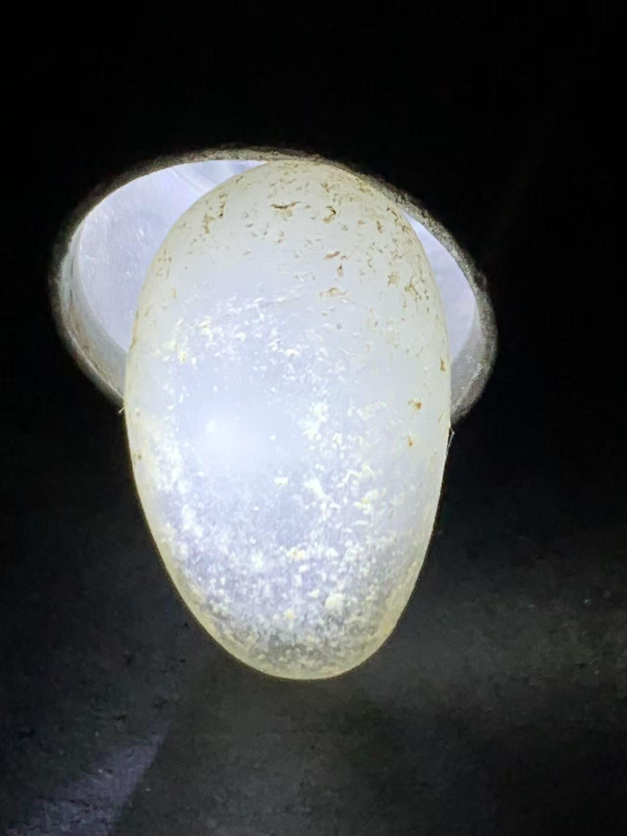 精美天然地表宝石光金丝玉原石一块，
