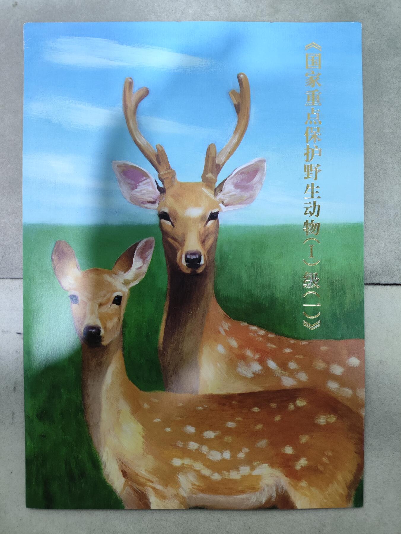  纪念邮册 《国家重点保护野生动物(I）级(一)》版张册