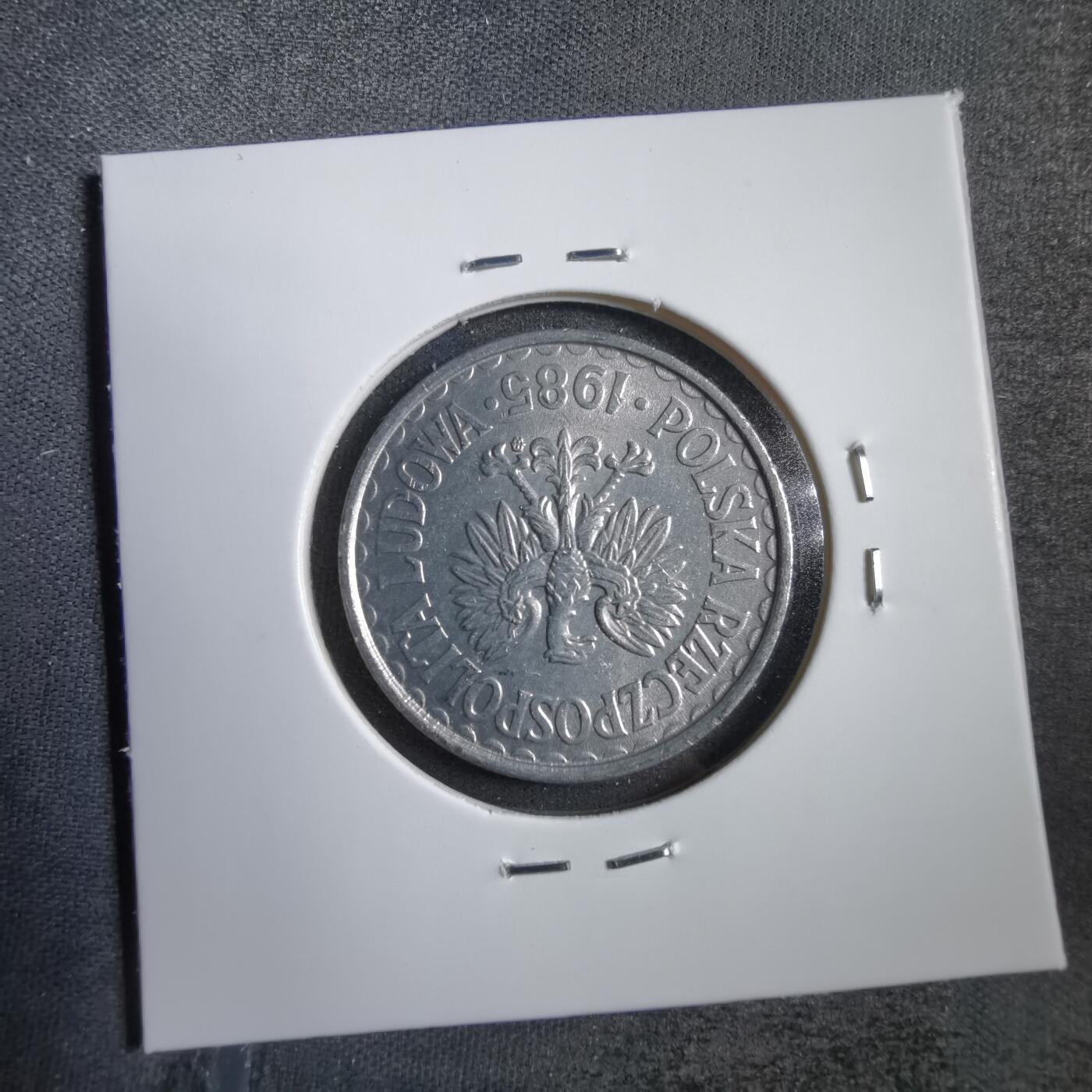 沼泽如烟--第754场