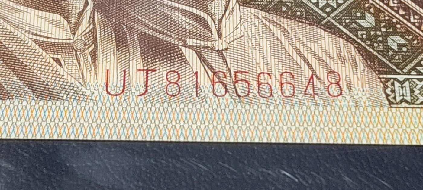 各种钱币拍场 🔥尾8🔥海鸥  燕尾民🔥🔥钱坤评级8001—黄金甲  姐妹花  趣味码   纤丝 趣味币（民），UJ81656648，民字左侧多印，背面左下侧有个海鸥图案暗记，被称作：海鸥燕尾民。这种瑕疵版别非常稀少，已经很少有人上拍了！希望藏友们珍惜！绝对的未来潜力股！