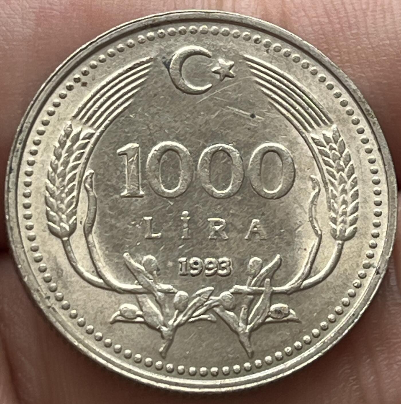 神仙姐姐-中外币专场7 1993年土耳其1000里拉