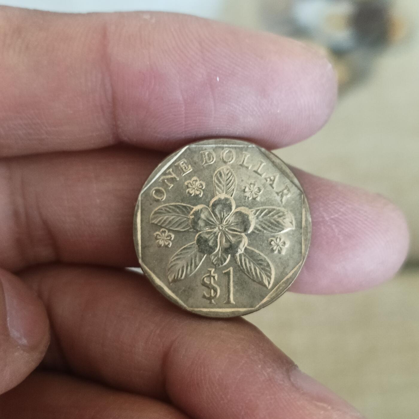 泡泡币外币第五十四场可代拍15038385335微信 新加坡一刀