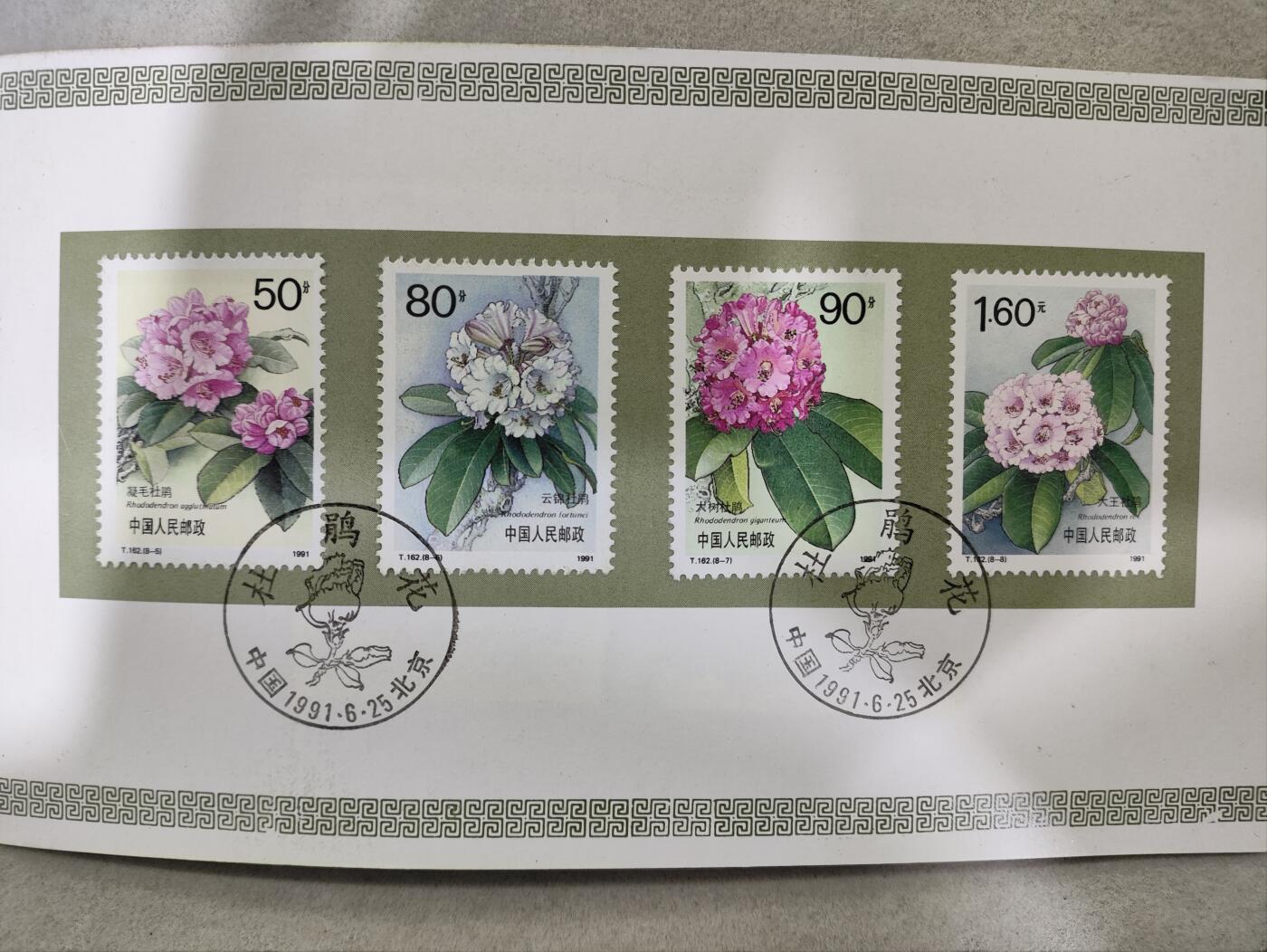  纪念邮册 T162杜鹃花邮票邮折