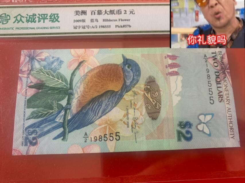 百慕大鸟钞