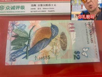 百慕大鸟钞 - 百慕大鸟钞