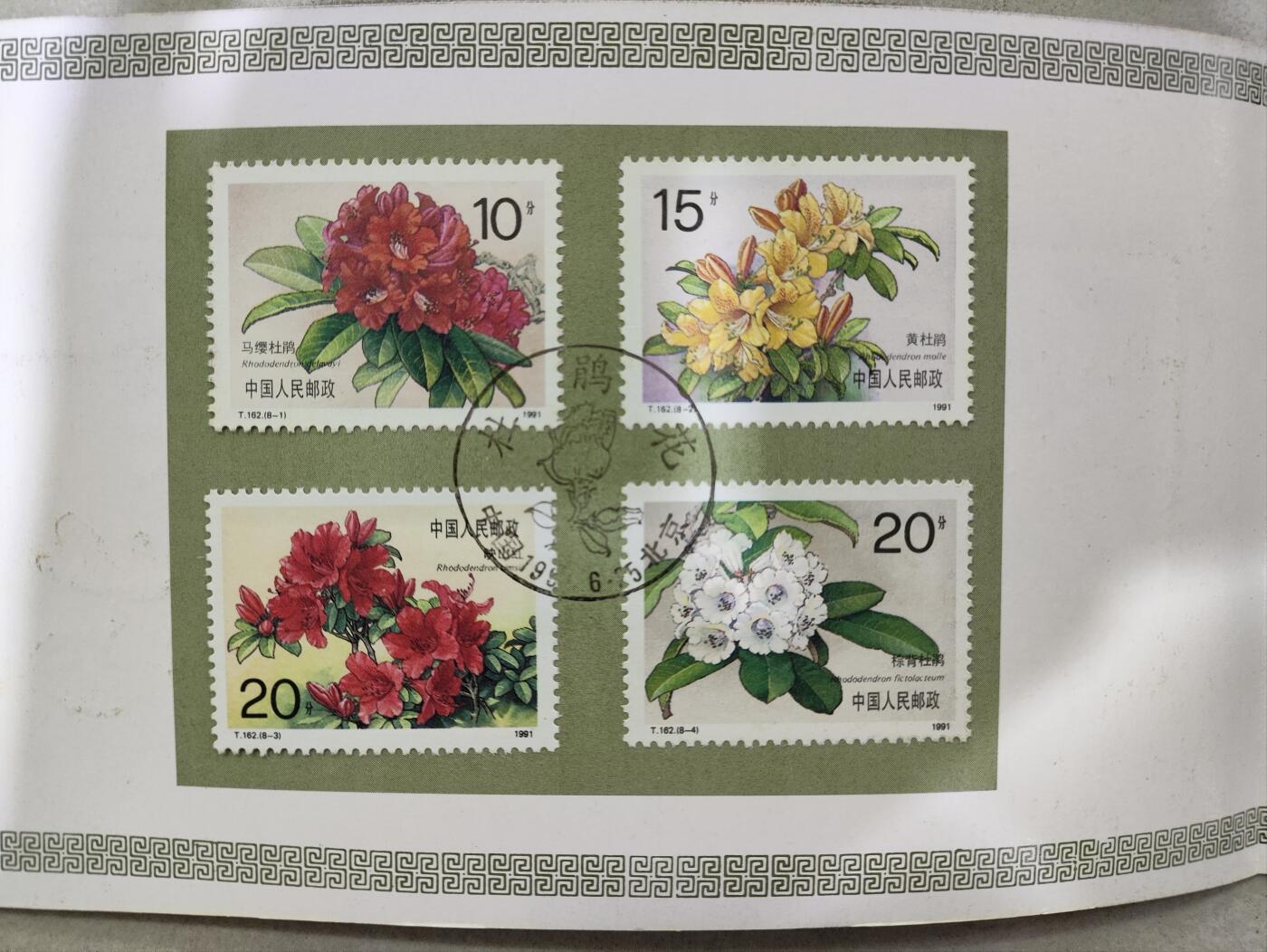  纪念邮册 T162杜鹃花邮票邮折