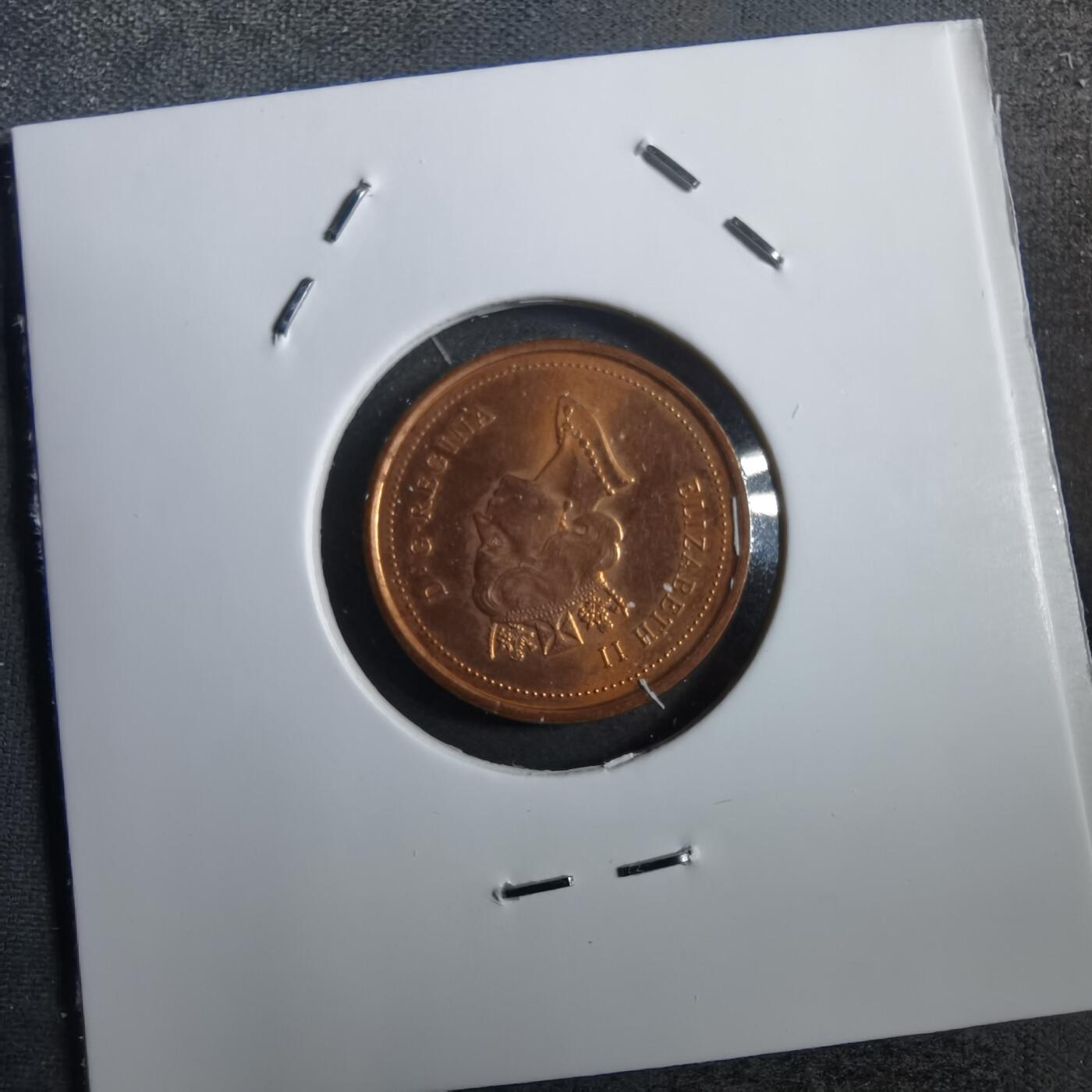 沼泽如烟--第757场