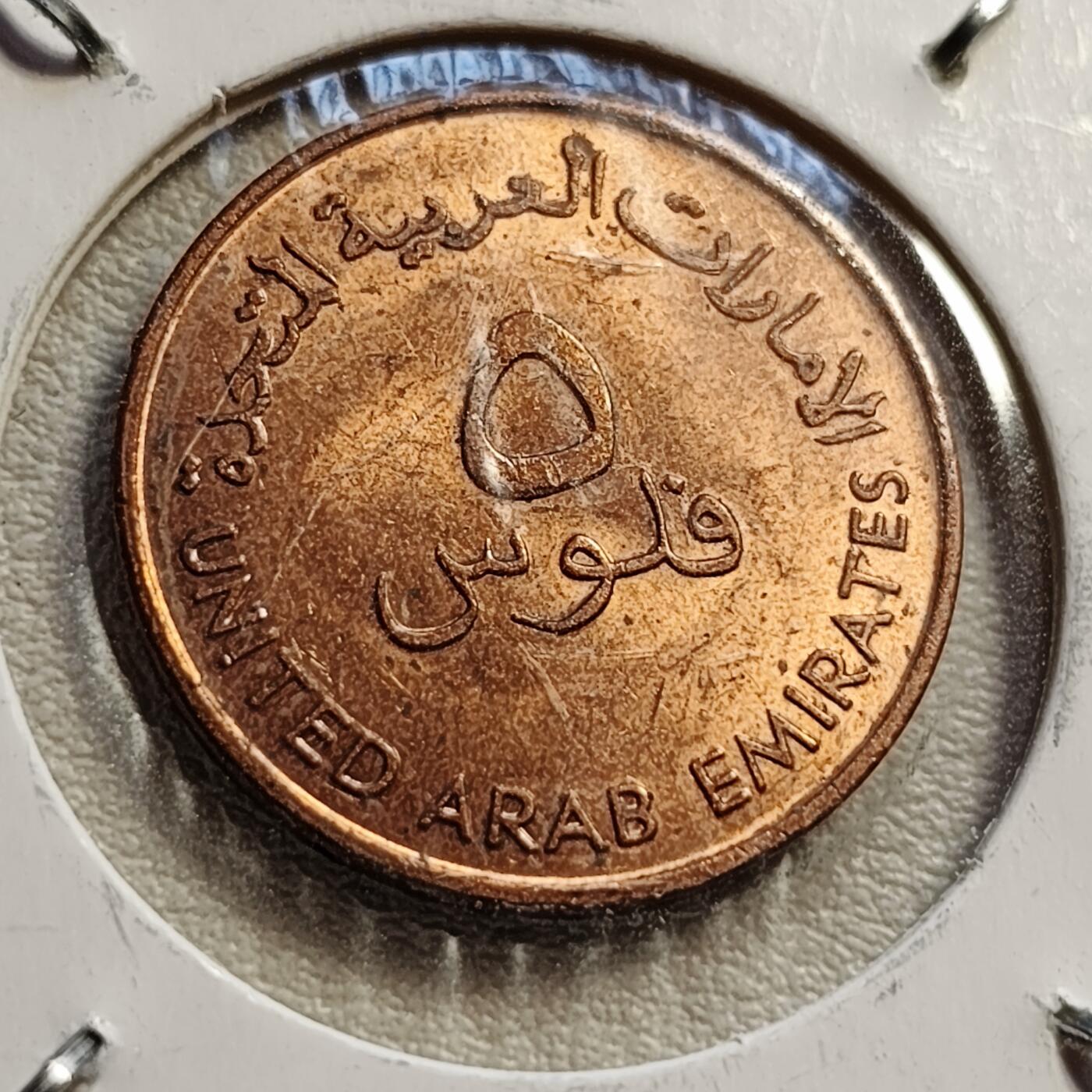 泉币菌-第42场-各国散币 原光美品 阿联酋5费尔鲷鱼 22mm 