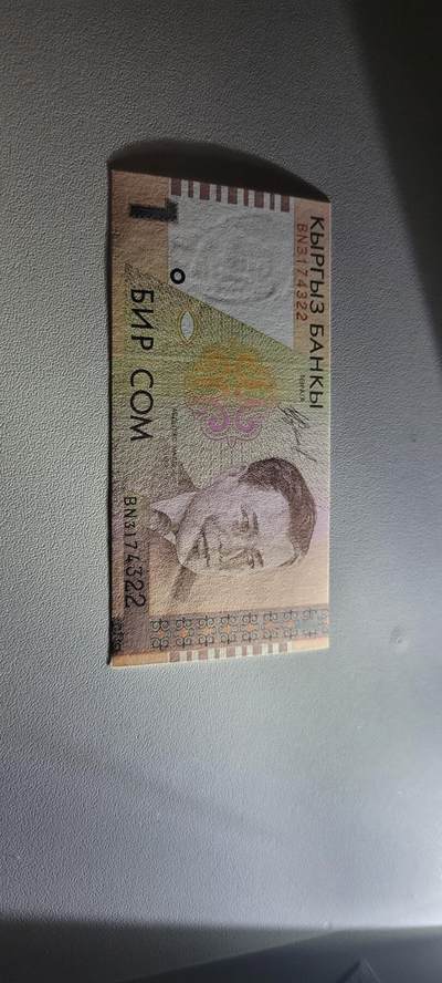 2025第十七期 纸币均有灯光 吉尔吉斯斯坦1索姆1999年版全新UNC