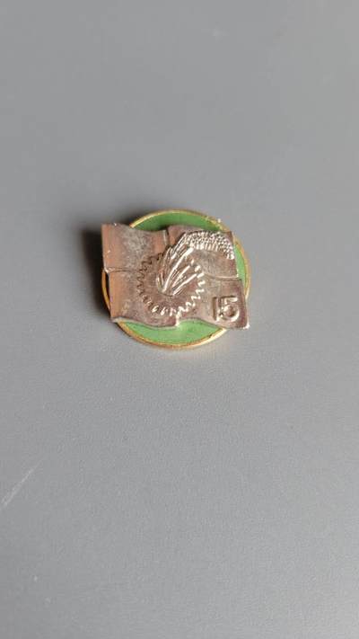 嘉宝良覃世界勋赏第10期拍卖 - 日共十五次大会代表证章
