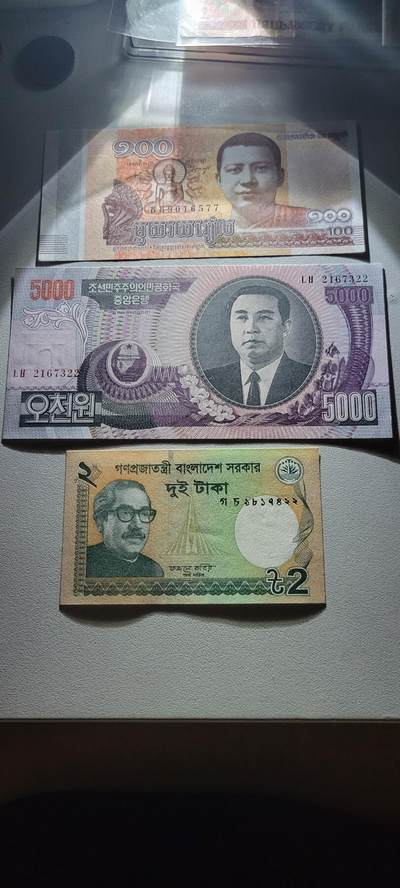 2025第十七期 纸币均有灯光 外国纸币三张均为UNC