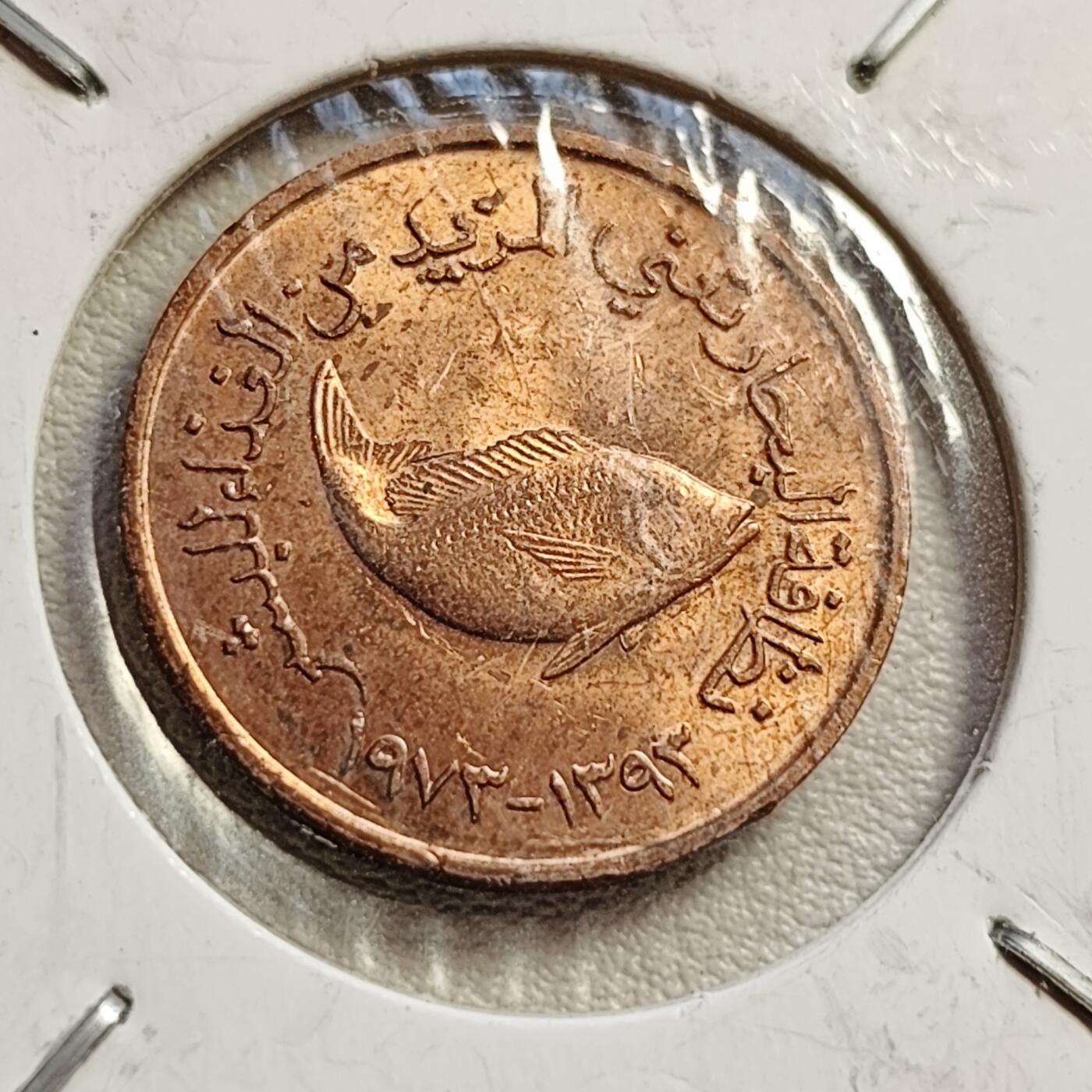 泉币菌-第42场-各国散币 原光美品 阿联酋5费尔鲷鱼 22mm 