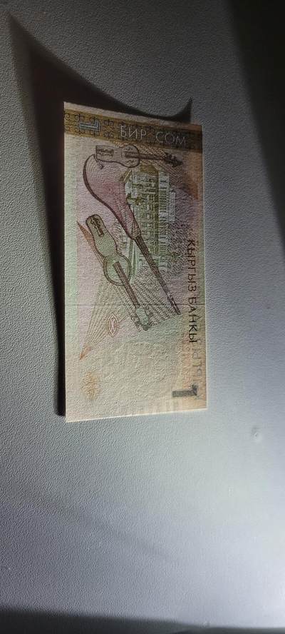 2025第十七期 纸币均有灯光 吉尔吉斯斯坦1索姆1999年版全新UNC