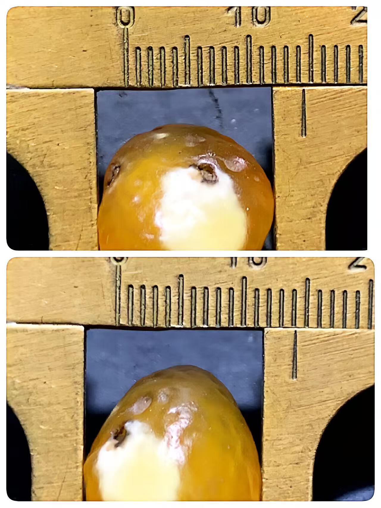 精美冰透高玉化阿拉善玛瑙包玛瑙，原石珠子一颗