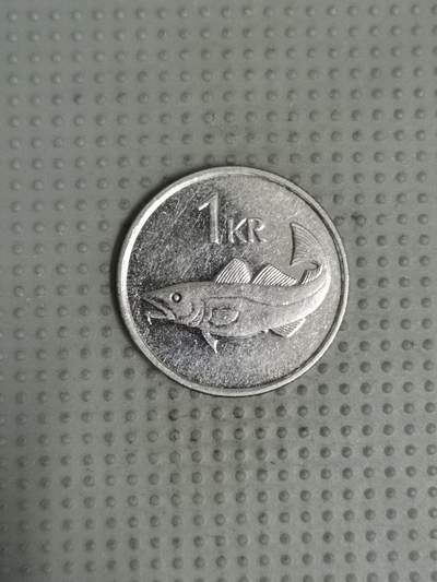 2025年第53场各国散币拍卖（总第53场） - 冰岛1991年1克朗有磁性