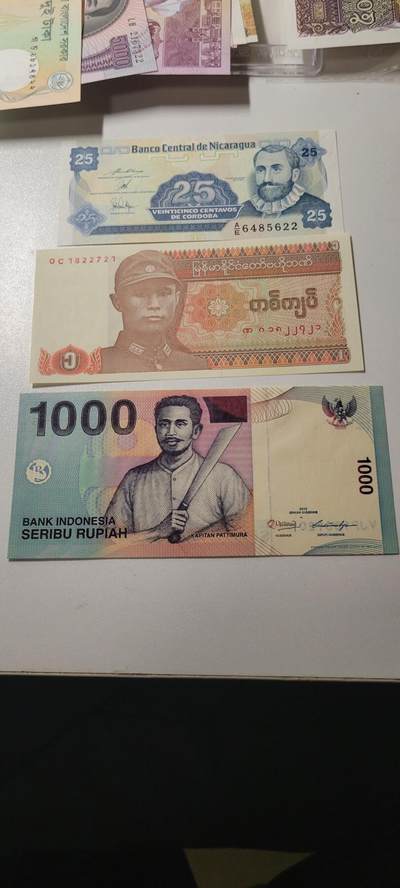 2025第十七期 纸币均有灯光 外国纸币三张均为UNC