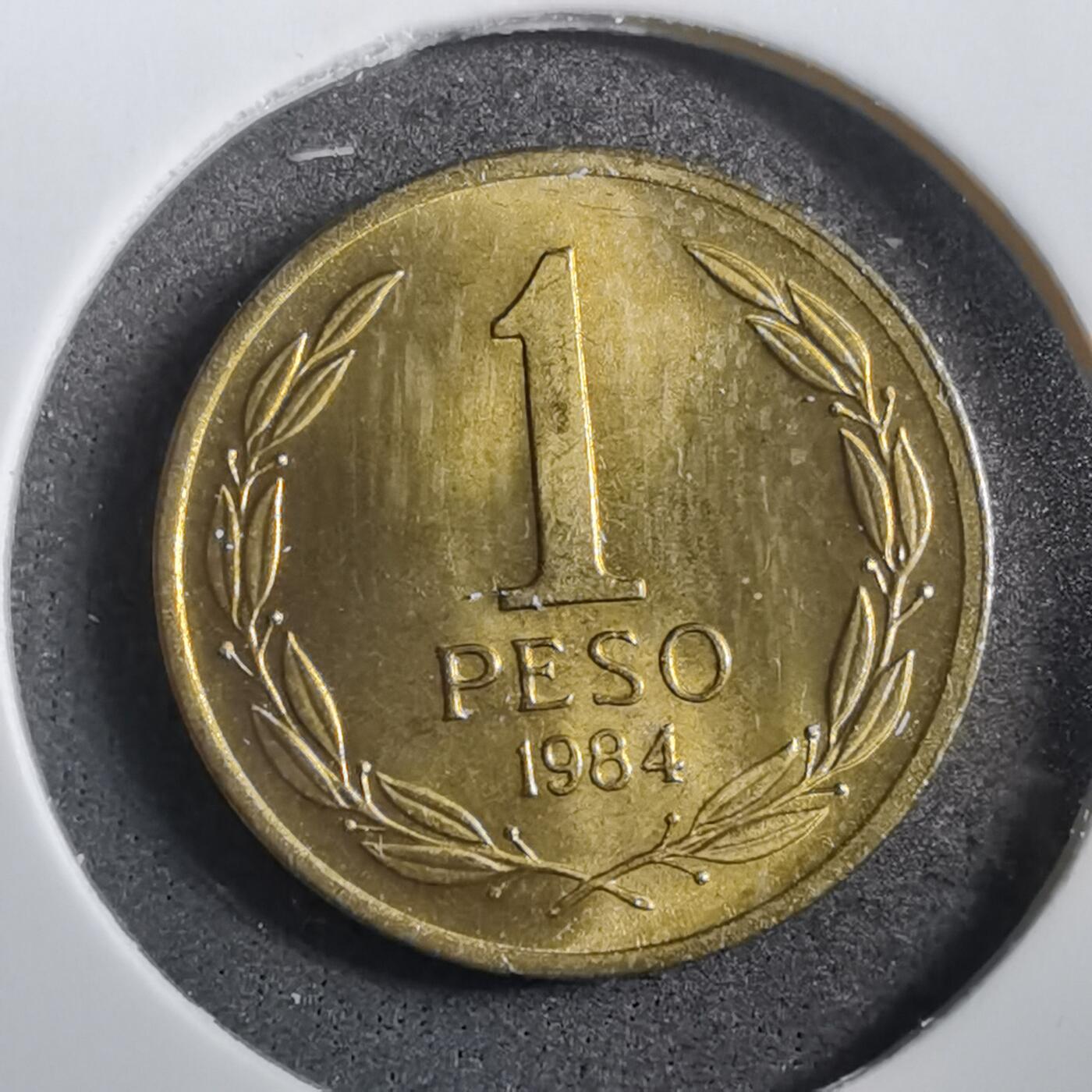 沼泽如烟--第760场